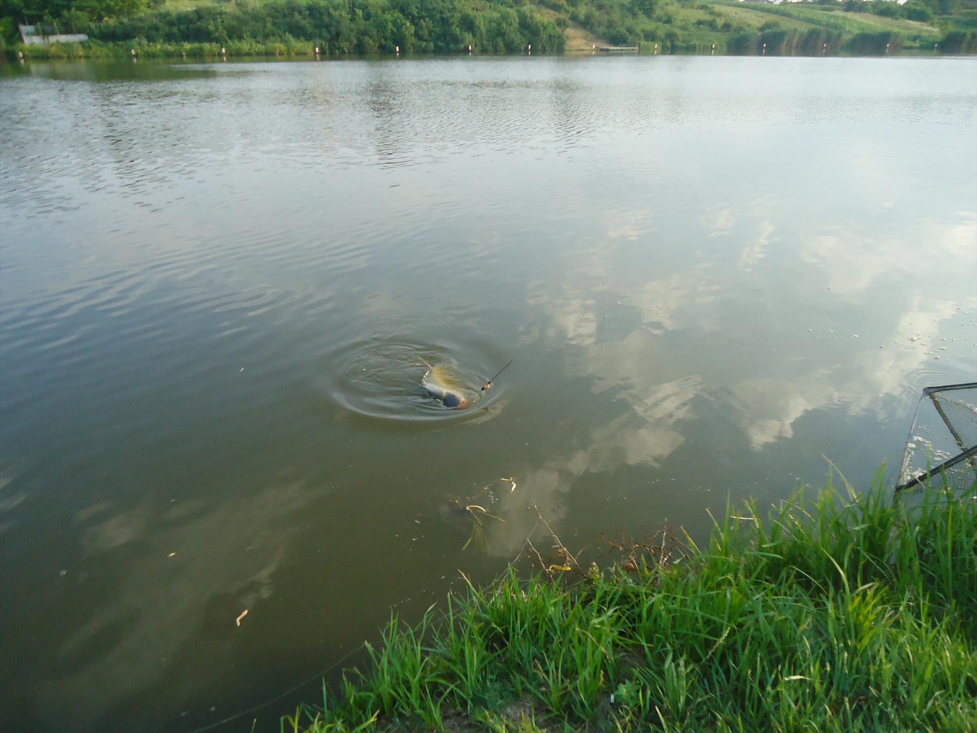 Moara Vlasiei 2 9 - 10 iulie 2014 - dsc05584.JPG